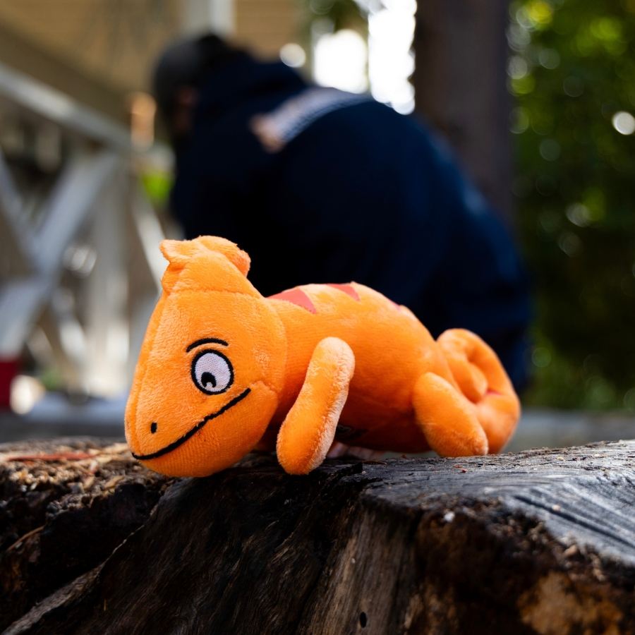 Colin plush toy resting on a tree stump outside a home